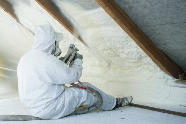 Best Insulation for Existing Homes  in USA